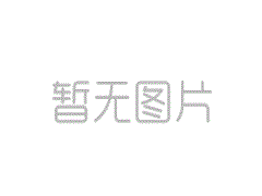 亮標(biāo)識(shí)、亮標(biāo)準(zhǔn)、亮承諾 義博會(huì)“品字標(biāo)”助力高質(zhì)量發(fā)展